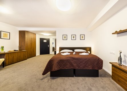 Izba pre imobilných