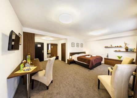 Izba pre imobilných