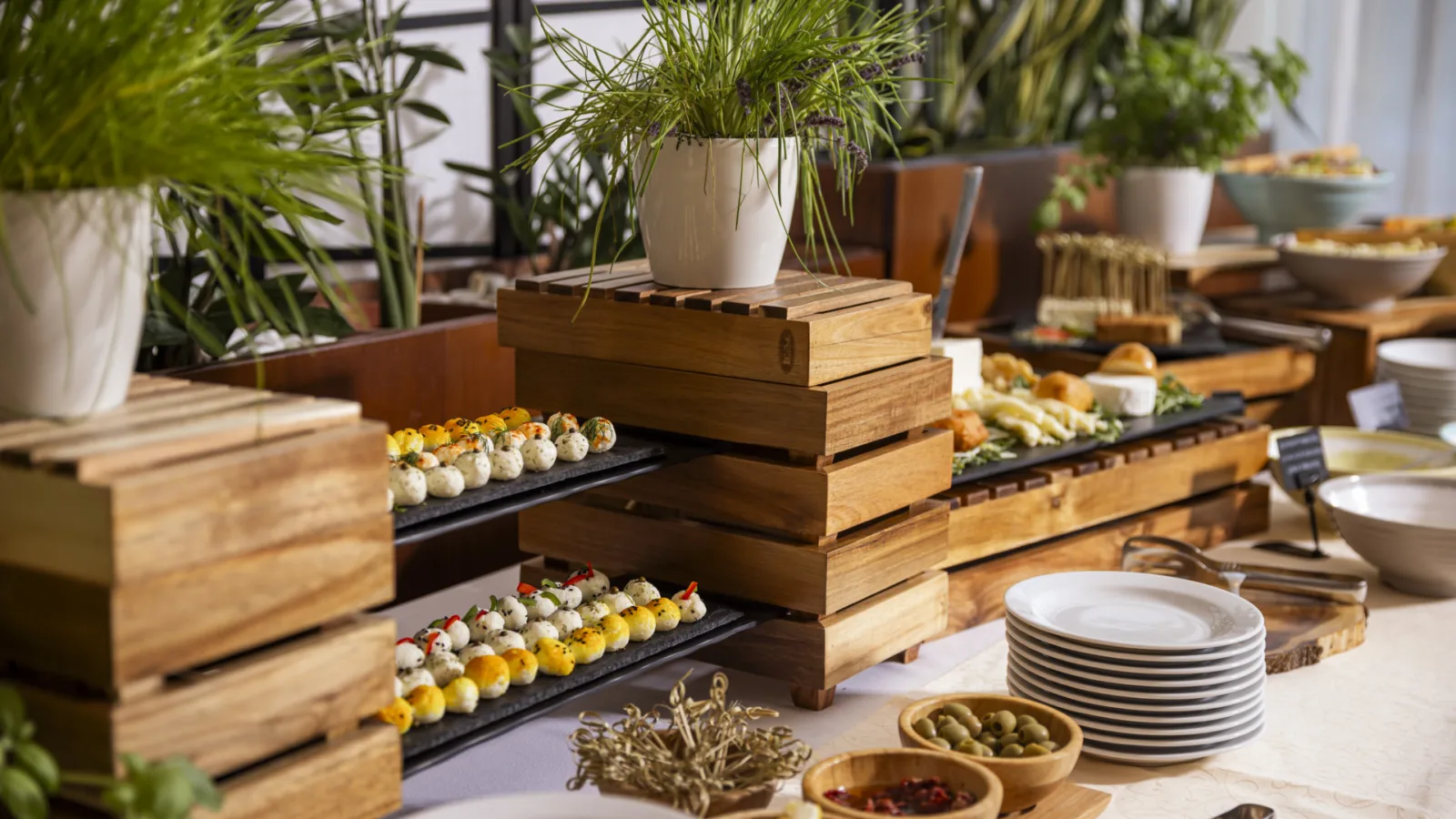 Gastronomy