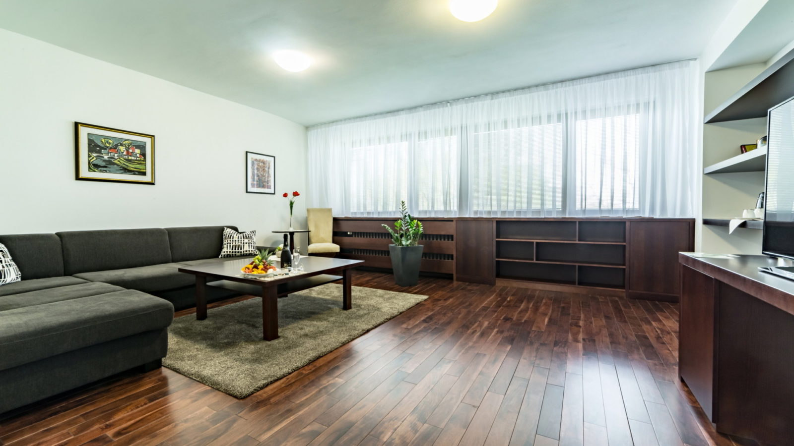 Apartmán Superior s 1 spálňou