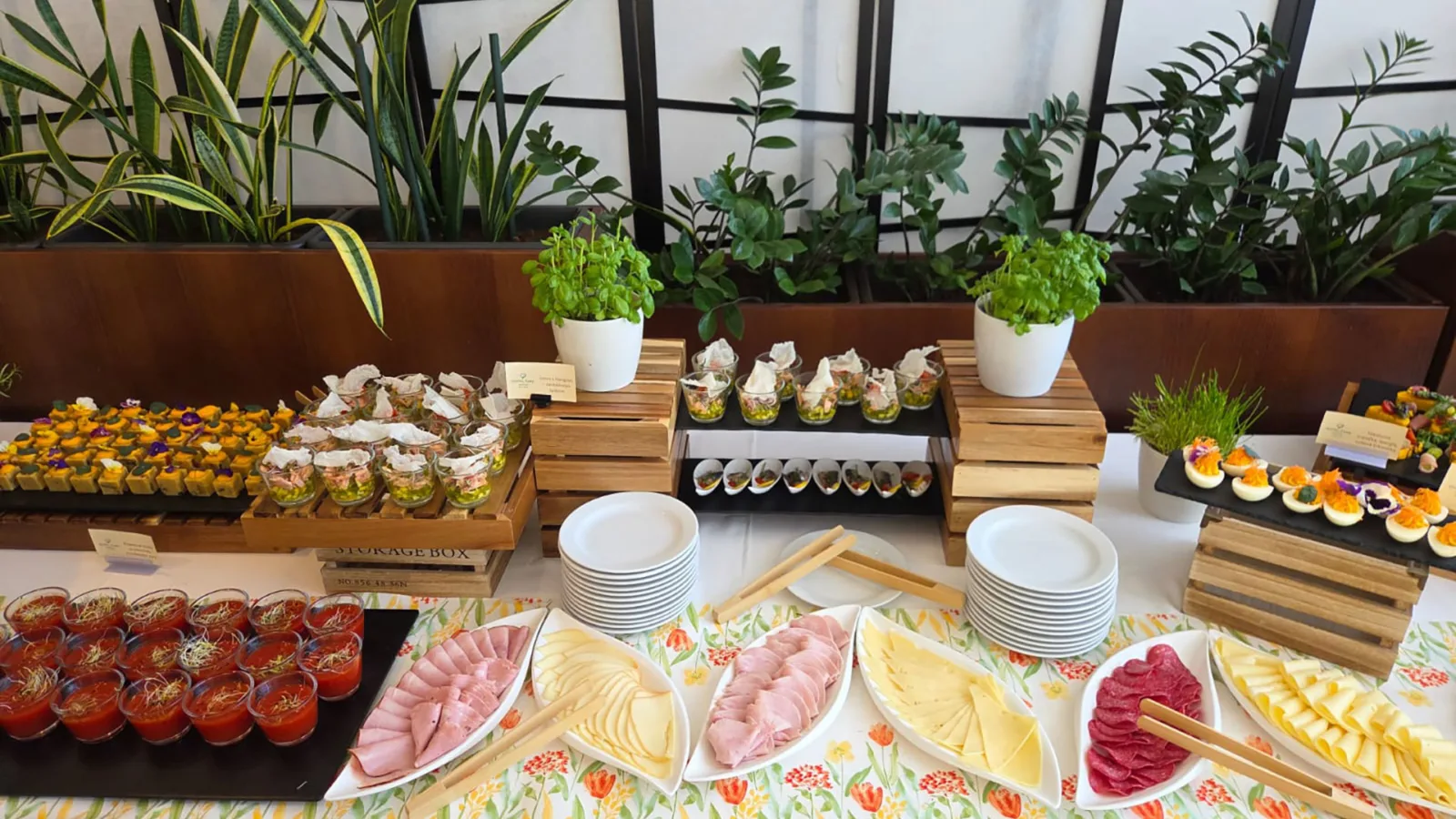 Gastronómia