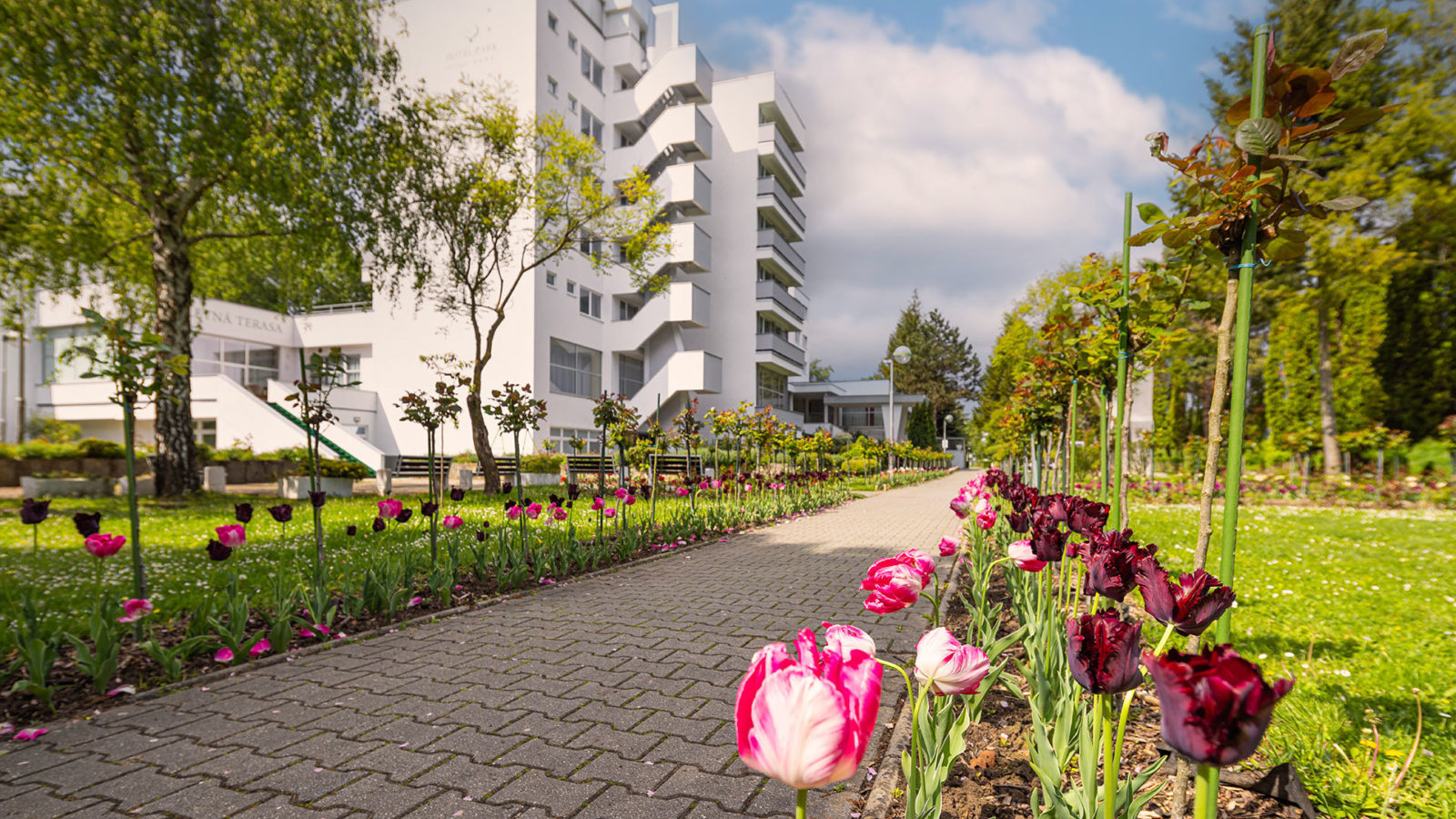 Deň matiek v Hoteli Park