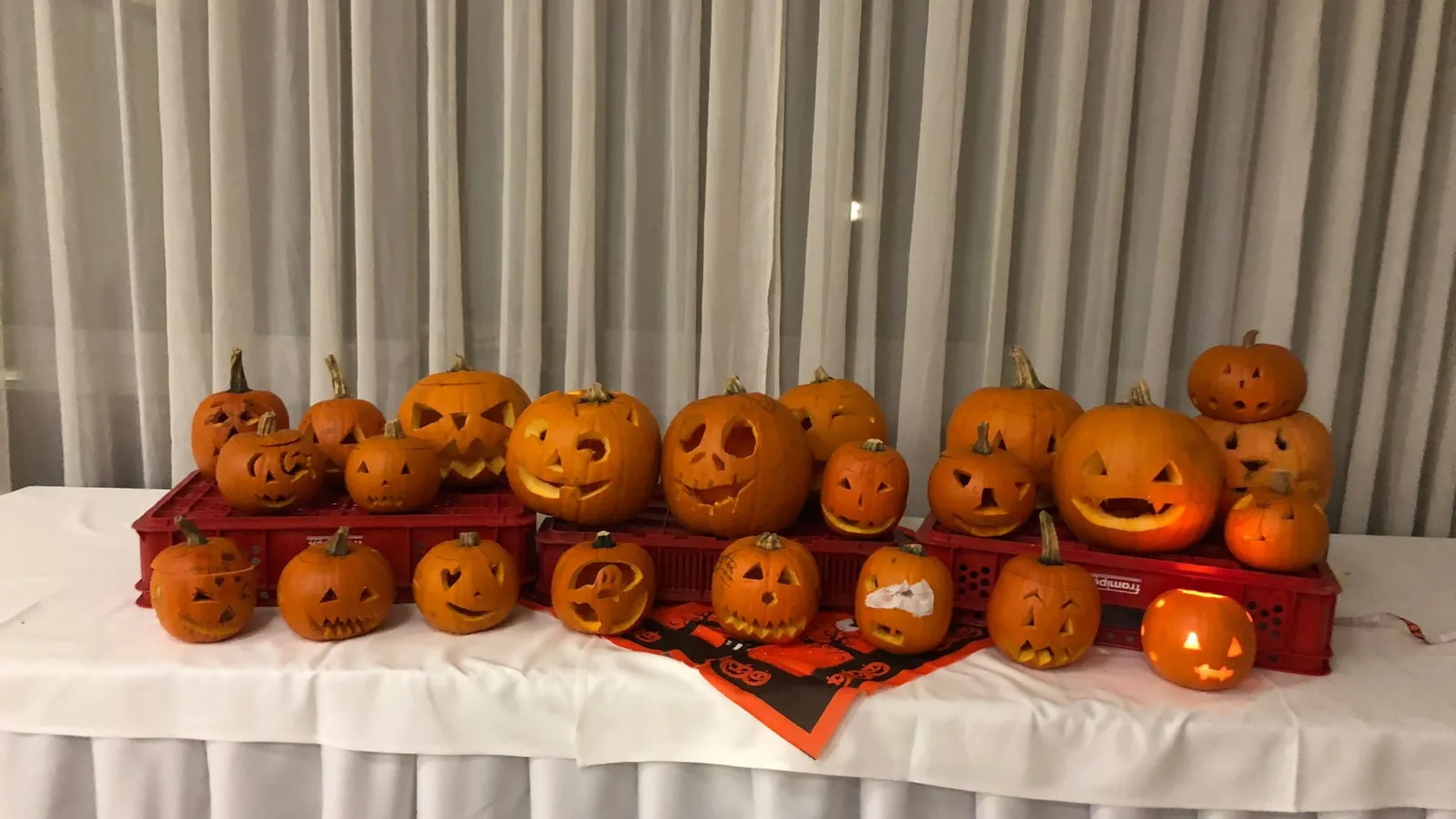 Halloween stay with animators
