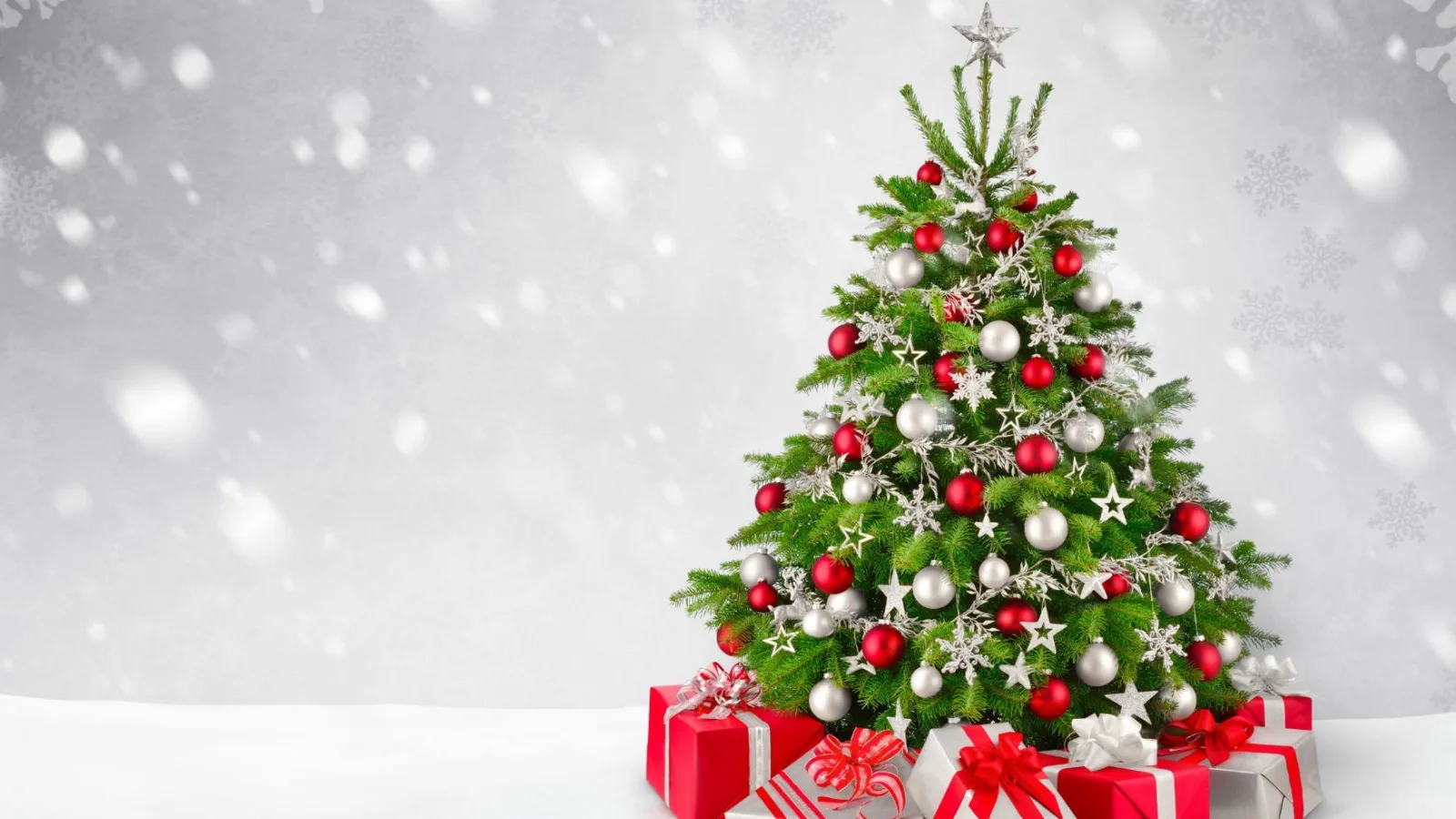 Christmas stay