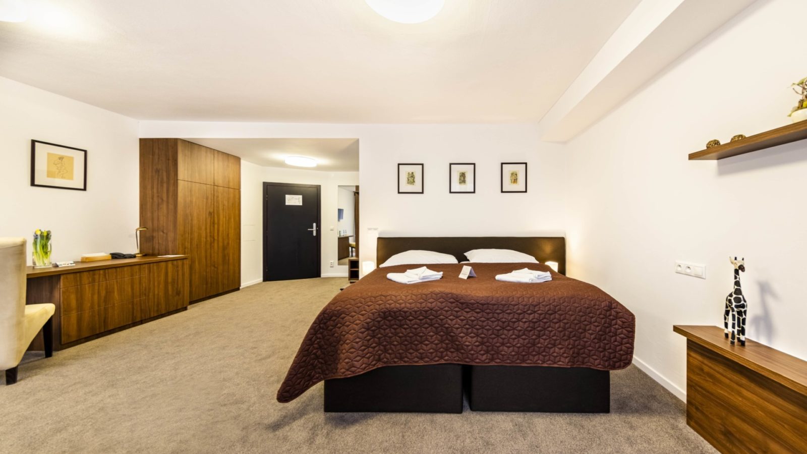 Izba pre imobilných