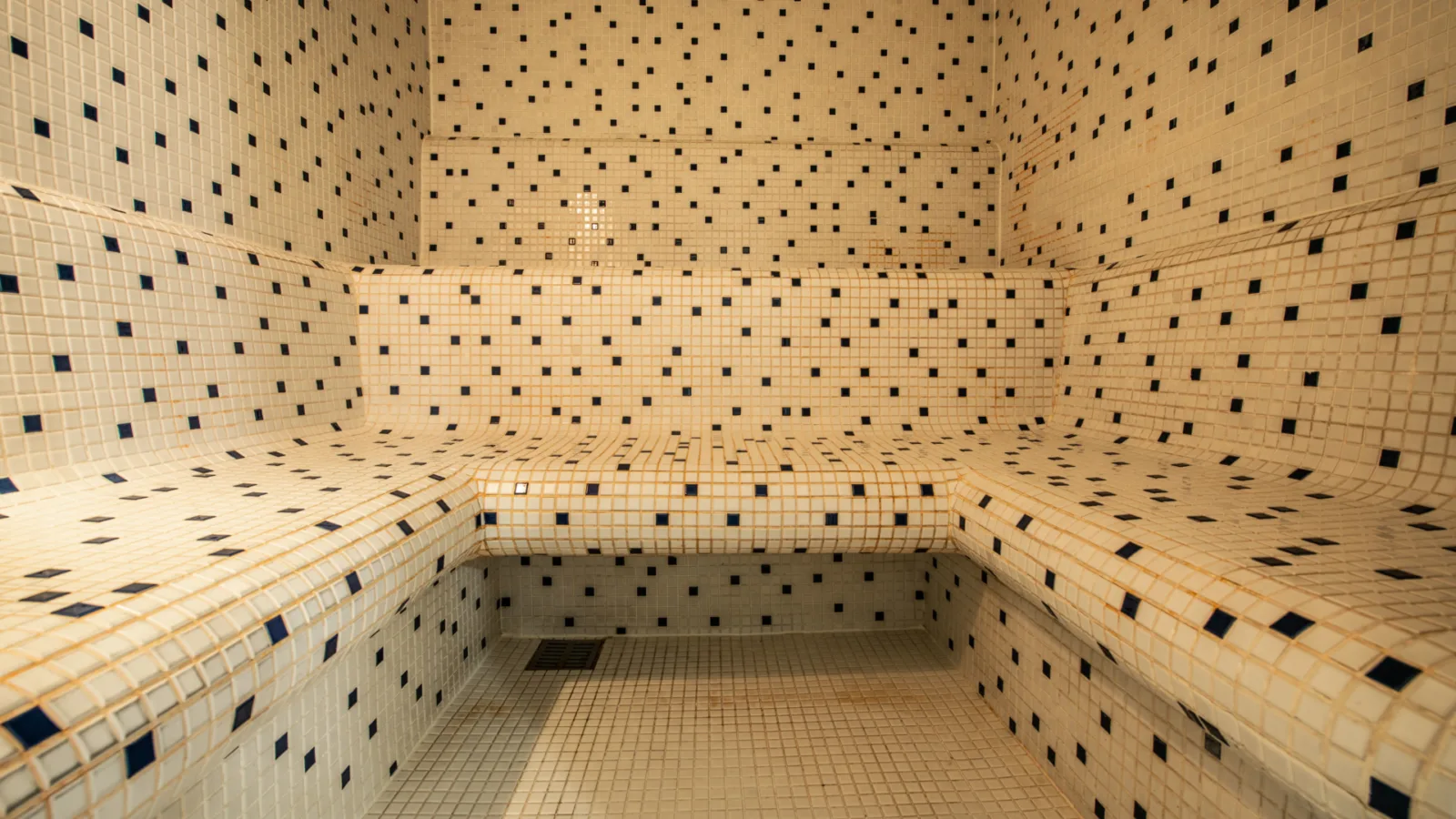 Parná sauna